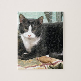 Quebra-cabeça Biscoito