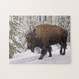 Quebra-cabeça Bison Americano (Bison bison)