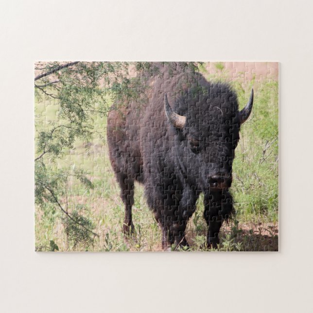 Quebra-cabeça Bison Close Up (Horizontal)