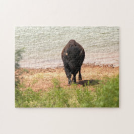 Quebra-cabeça Bison Na Água