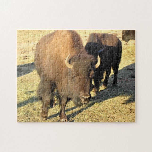Quebra-cabeça Bison no Colorado (Horizontal)