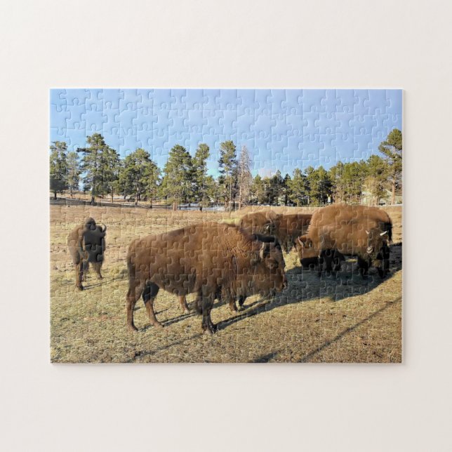 Quebra-cabeça Bison no Colorado (Horizontal)