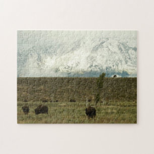 Quebra-cabeça Bison no Grand Teton National Park Fotografia