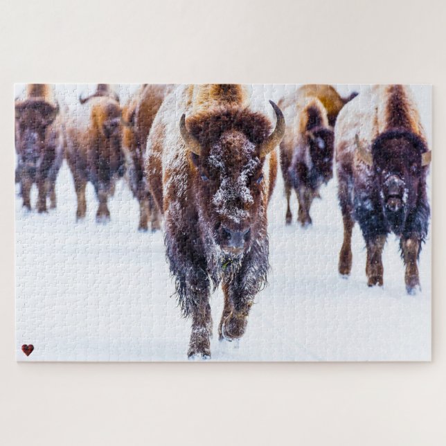 Quebra-cabeça Bison Yellowstone Wyoming (Horizontal)