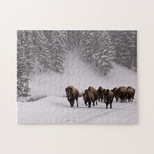 Quebra-cabeça Bisonte no inverno