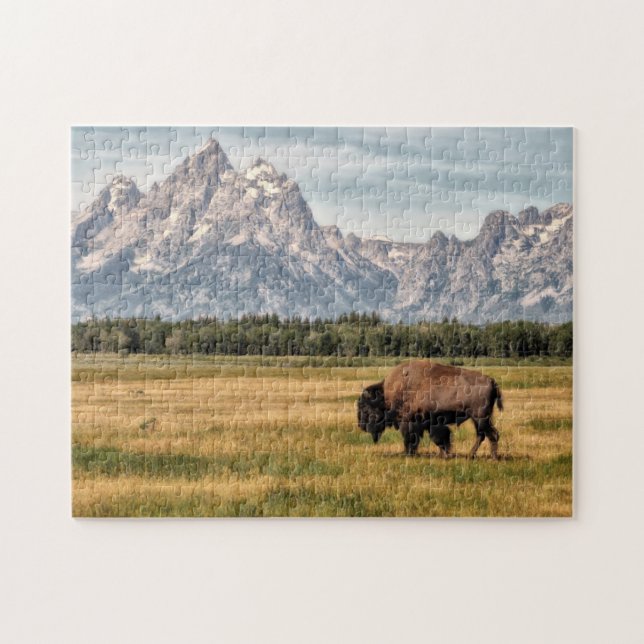 Quebra-cabeça Bisonte no Tetons (Horizontal)