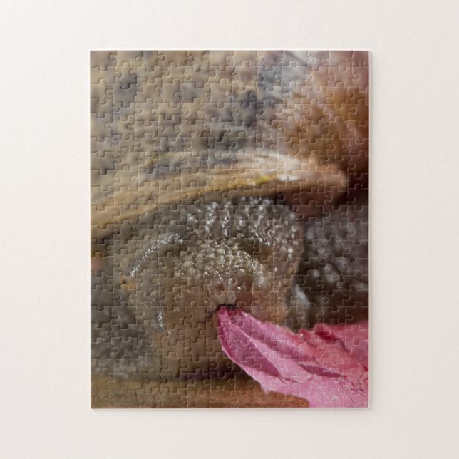 Quebra-cabeça Bizarra de Papel de Comida de Caraco (Vertical)