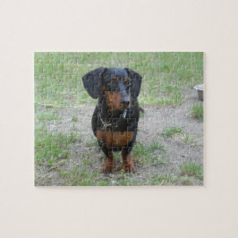 Quebra-cabeça Black and Brown Dachshund
