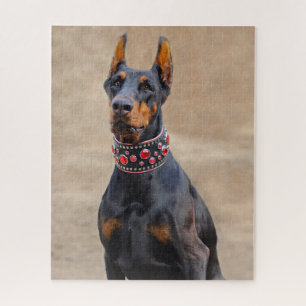 Quebra-cabeça Black and Tan Doberman Pinscher