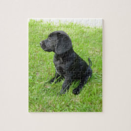 Quebra-cabeça Black Labrador Retriever Em Grama