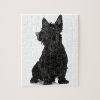 Quebra-cabeça Black Scottish Terrier