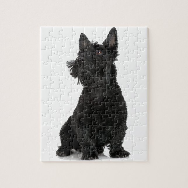 Quebra-cabeça Black Scottish Terrier (Vertical)