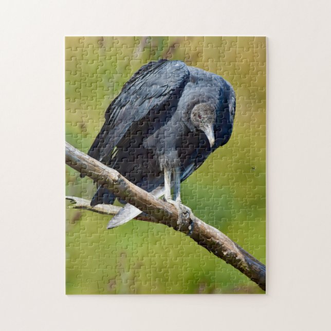 Quebra-cabeça Black Vulture Wildlife Jigsaw Puzzle (Vertical)