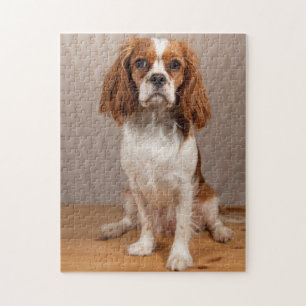 Quebra-cabeça Blenheim Cavalier King Charles Spaniel Puppy Dog