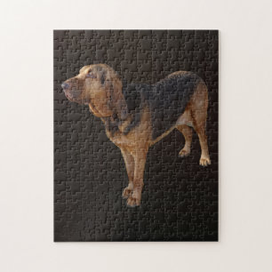 Quebra-cabeça Bloodhound