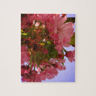 Quebra-cabeça Blossomas Rosa