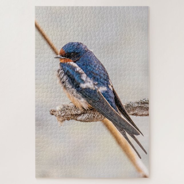 Quebra-cabeça Blue Bird, Barn Swallow, Fotografia canadense (Vertical)