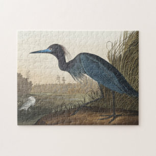 Quebra-cabeça Blue Crane ou Heron de Birds da América