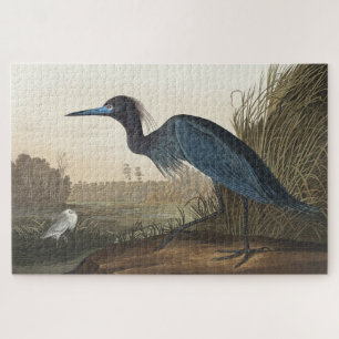 Quebra-cabeça Blue Crane ou Heron de Birds da América
