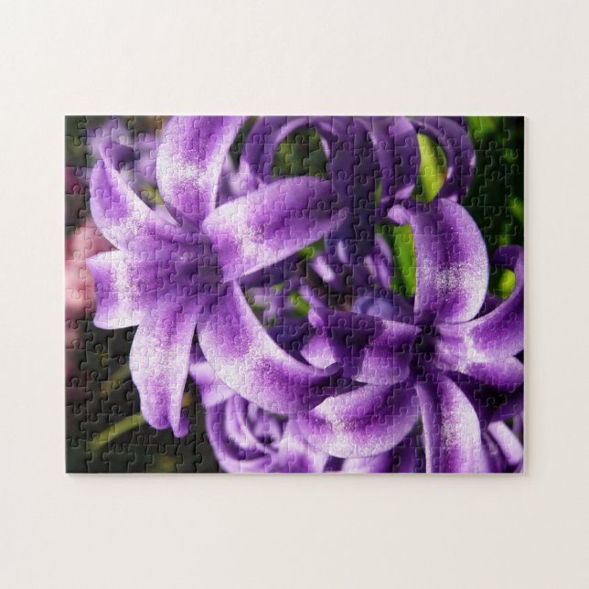 Quebra-cabeça Blue Hyacinth I Primavera Floral (Horizontal)