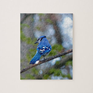 Quebra-cabeça Blue Jay