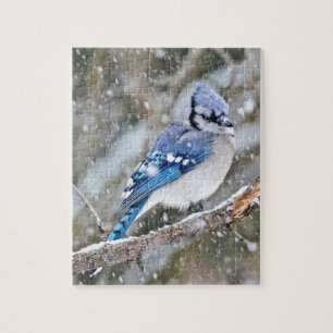 Quebra-cabeça Blue Jay em uma tempestade de neve
