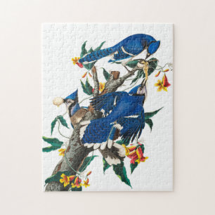 Quebra-cabeça Blue Jay por John James Audubon