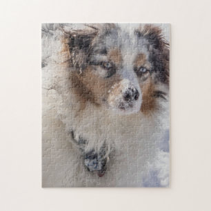 Quebra-cabeça Blue Merle - Pastor australiano