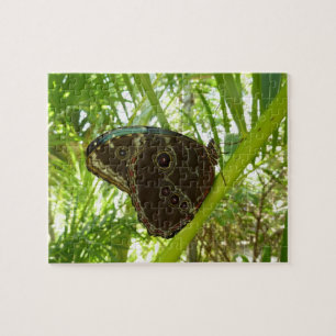 Quebra-cabeça Blue Morpho Butterfly - Fotografia da natureza tro