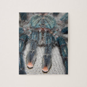 Quebra-cabeça blue tarantula