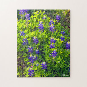 Quebra-cabeça Bluebonnet Texas Flower - Foto Plenica