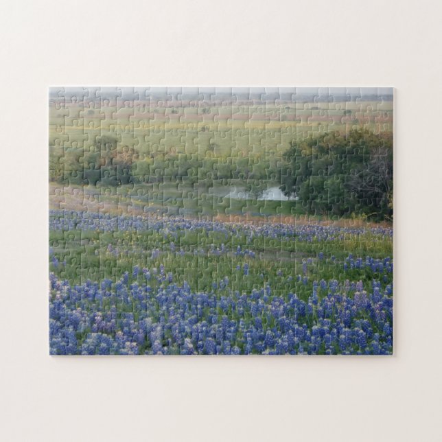 Quebra-cabeça Bluebonnets de Texas (Horizontal)