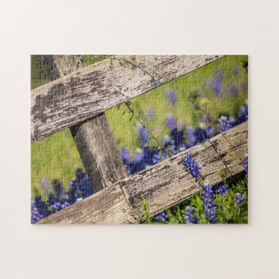 Quebra-cabeça Bluebonnets de Texas em torno de uma cerca do paí