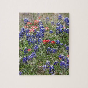 Quebra-cabeça Bluebonnets de Texas & Wildflowers do pincel