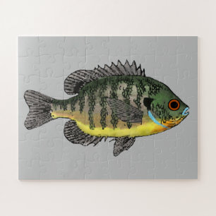 Quebra-cabeça Bluegill Sunfish