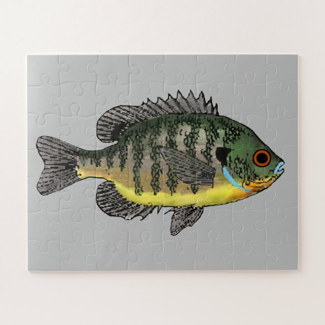 Quebra-cabeça Bluegill Sunfish (Horizontal)