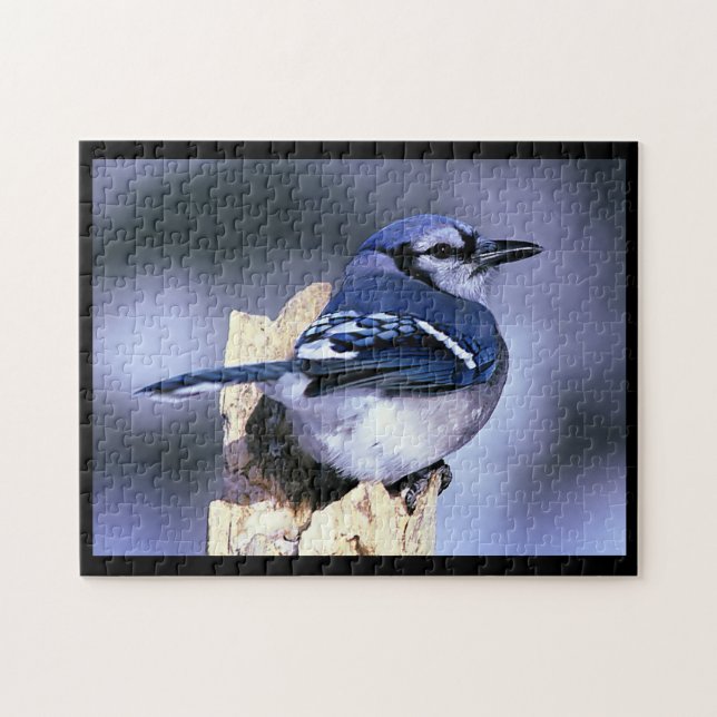 Quebra-cabeça BlueJay (Horizontal)