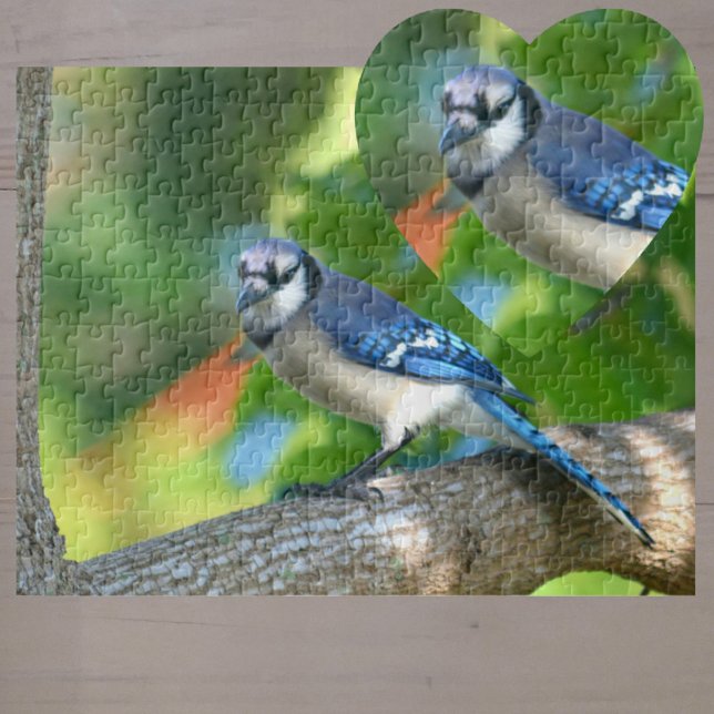 Quebra-cabeça Bluejay Emitido em árvore em natureza fotográfica (Criador carregado)