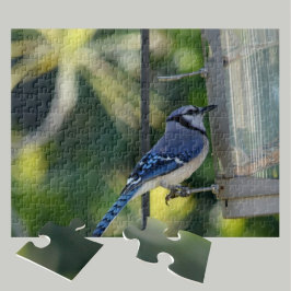 Quebra-cabeça Bluejay Perked no Birdfeeder