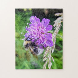 Quebra-cabeça Blütenglück – Naturpuzzle mit Hummel auf Skabiose