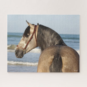 Quebra-cabeça Bob Langrish Andaluciano Stallion Headshot Sea