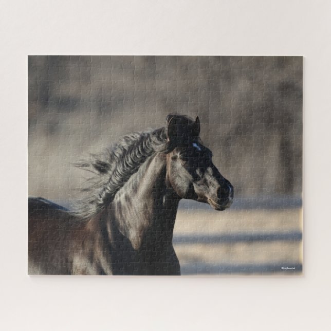 Quebra-cabeça Bob Langrish | Andaluzia Headshot Mane Fluxo (Horizontal)