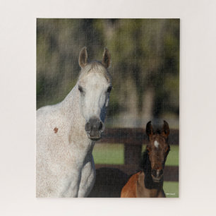 Quebra-cabeça Bob Langrish Arab Mare e Foal em Capa