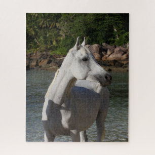 Quebra-cabeça Bob Langrish Arab Mare Em Cabeça De Água