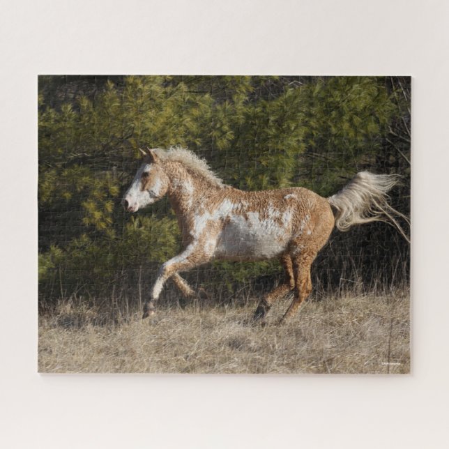 Quebra-cabeça Bob Langrish | Bashkir Curly Stallion Running (Horizontal)