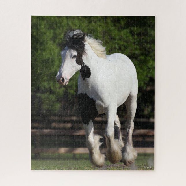 Quebra-cabeça Bob Langrish Black and White Gypsy Vanner em Execu (Vertical)