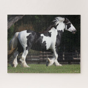 Quebra-cabeça Bob Langrish Black and White Gypsy Vanner Walking