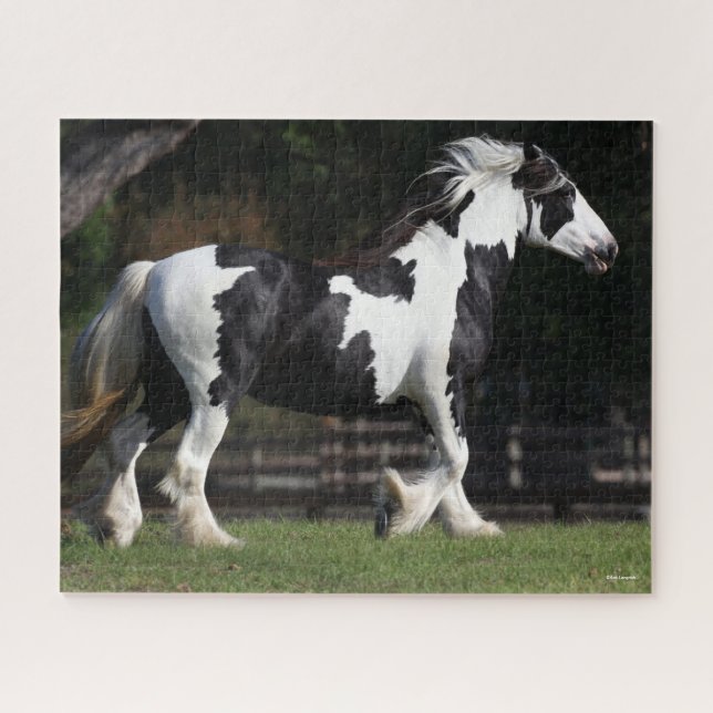 Quebra-cabeça Bob Langrish Black and White Gypsy Vanner Walking (Horizontal)