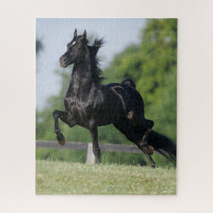 Quebra-cabeça Bob Langrish Black Morgan Horse Trotting