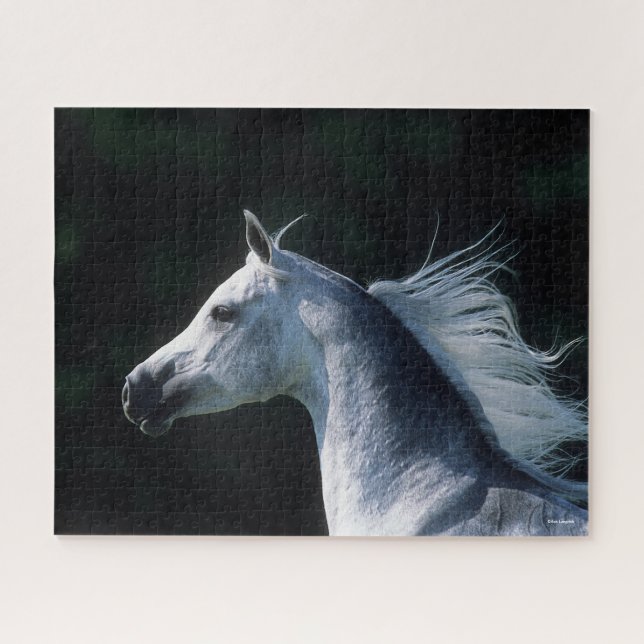 Quebra-cabeça Bob Langrish | Cabeça Árabe da Cinza 3 (Horizontal)